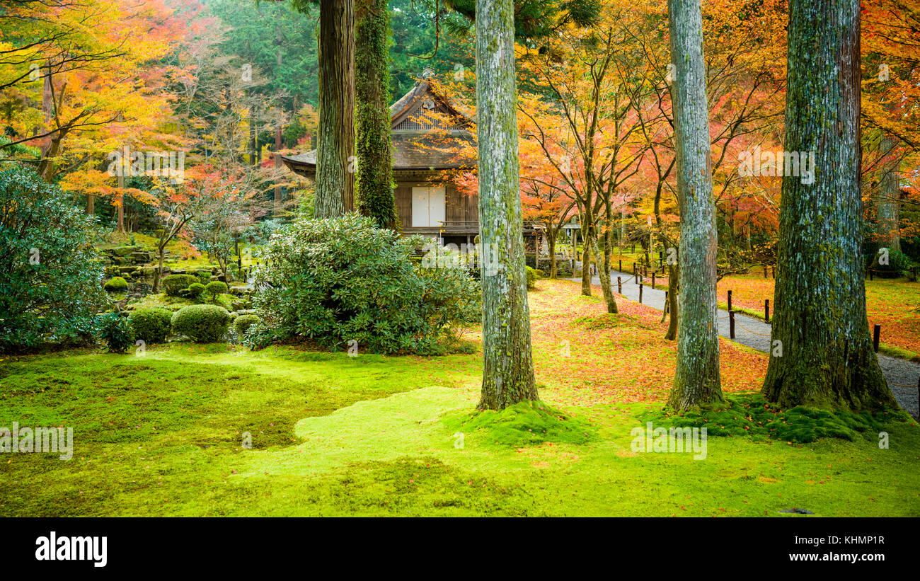 Sanzen-in Tempio & Fall Foliage, Kyoto, Giappone Foto Stock