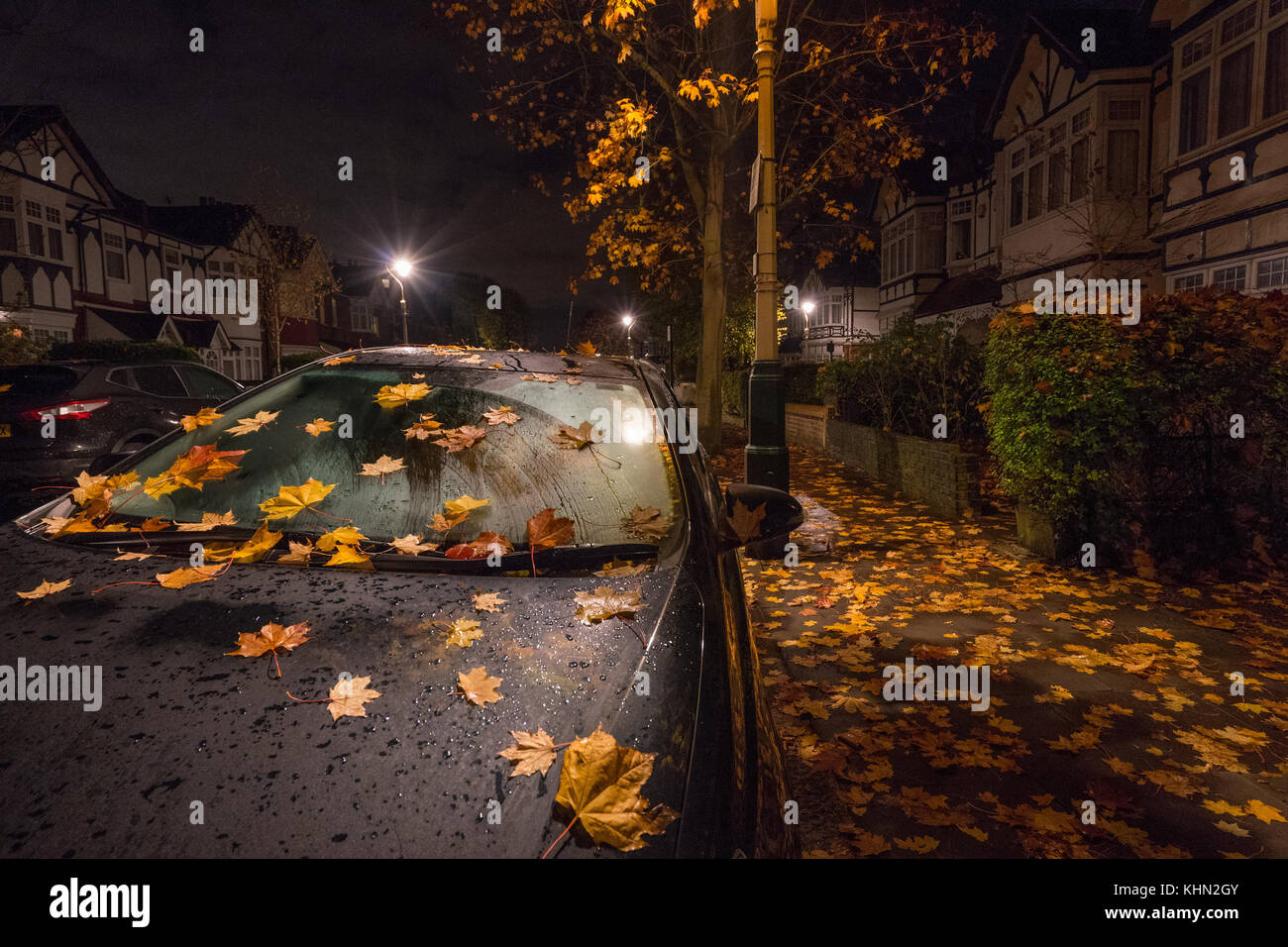 Londra, Regno Unito. Xix nov, 2017. Foglie di autunno e di un'auto parcheggiata sotto le luci di strada nel sobborgo londinese di ealing. photo Data: domenica 19 novembre, 2017. Credito: roger garfield/alamy live news Foto Stock