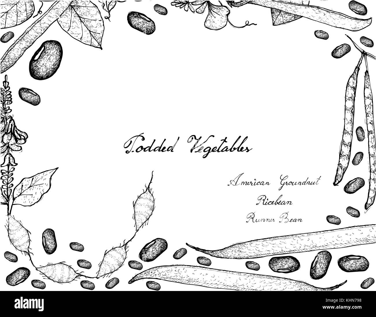 Vegetali, illustrazione telaio del lato bozzetto fresche verdure podded isolati su sfondo bianco. Illustrazione Vettoriale