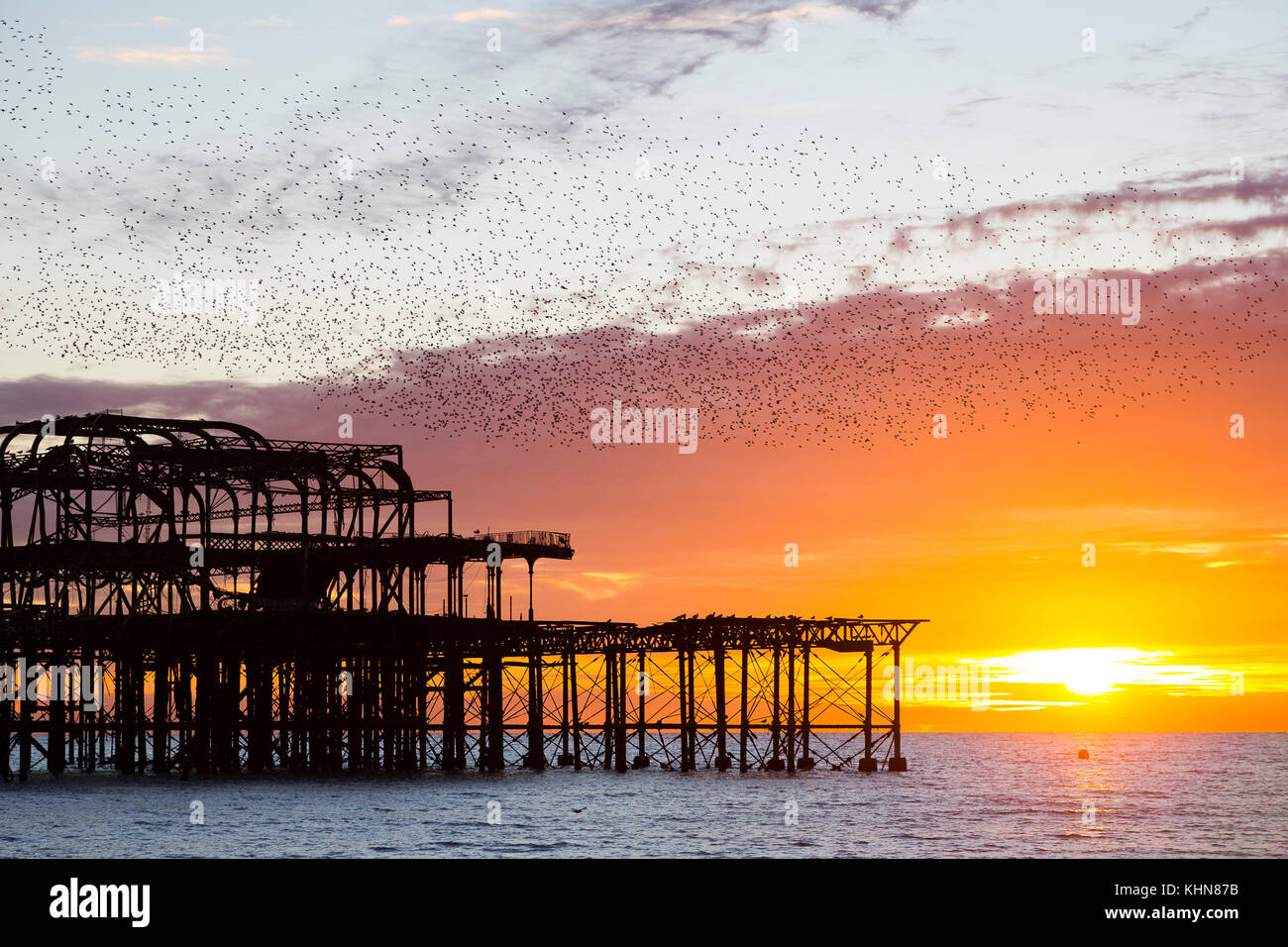 Brighton, Regno Unito. Starling murmurations al tramonto su Brighton West abbandonati Pier. Foto Stock