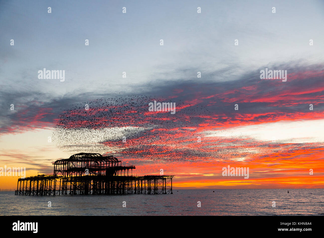 Brighton, Regno Unito. Starling murmurations al tramonto su Brighton West abbandonati Pier. Foto Stock