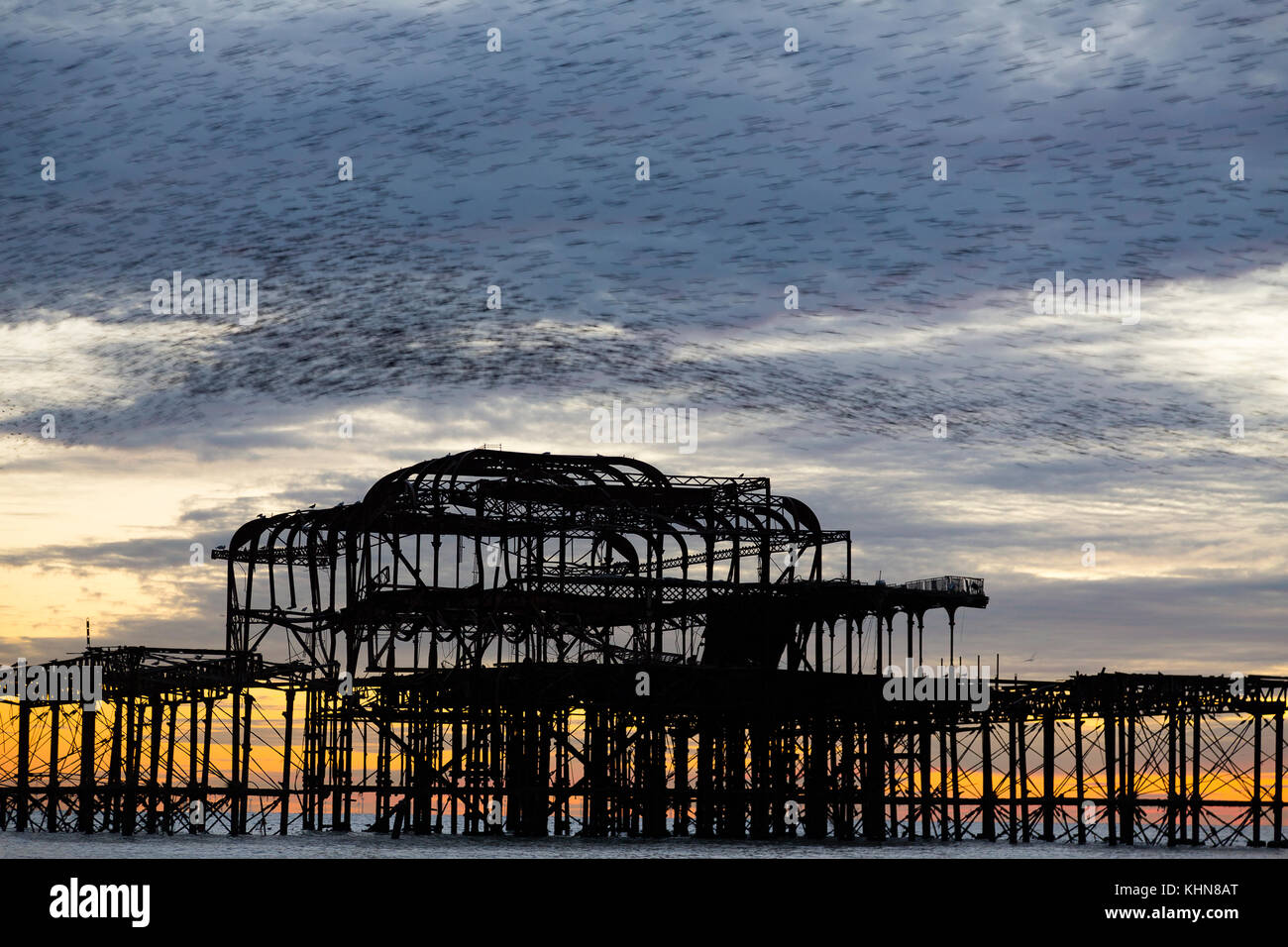 Brighton, Regno Unito. Starling murmurations al tramonto su Brighton West abbandonati Pier. Foto Stock