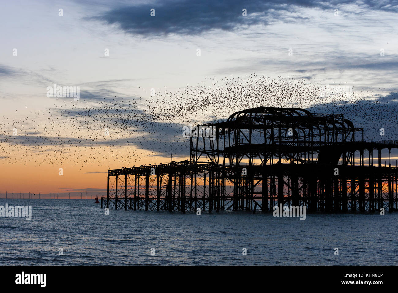 Brighton, Regno Unito. Starling murmurations al tramonto su Brighton West abbandonati Pier. Foto Stock