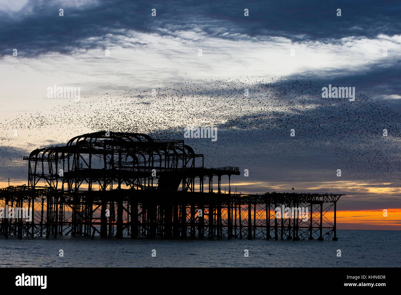 Brighton, Regno Unito. Starling murmurations al tramonto su Brighton West abbandonati Pier. Foto Stock
