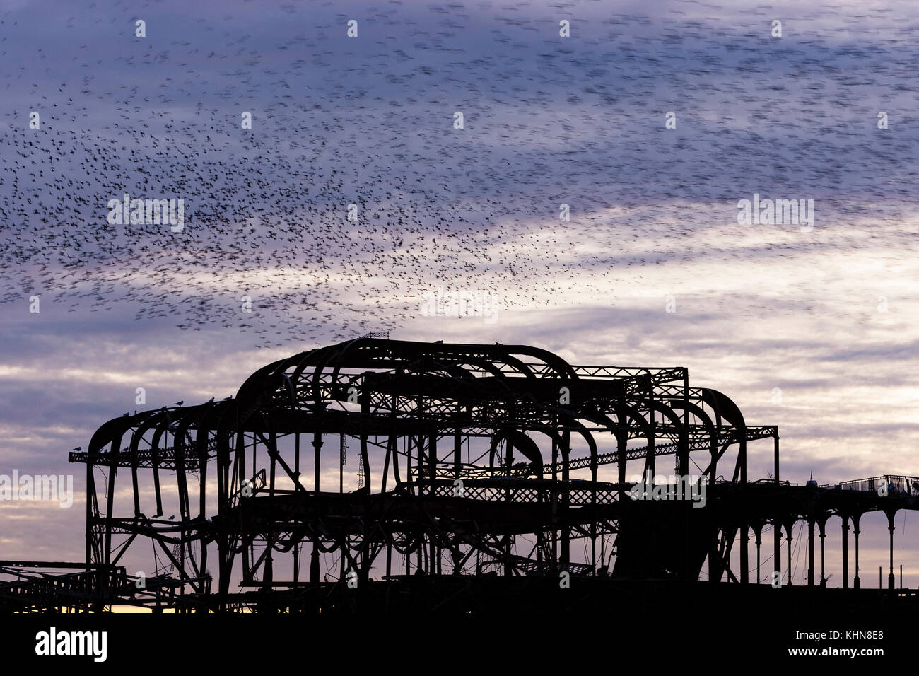 Brighton, Regno Unito. Starling murmurations al tramonto su Brighton West abbandonati Pier contro il cielo viola al tramonto. Foto Stock