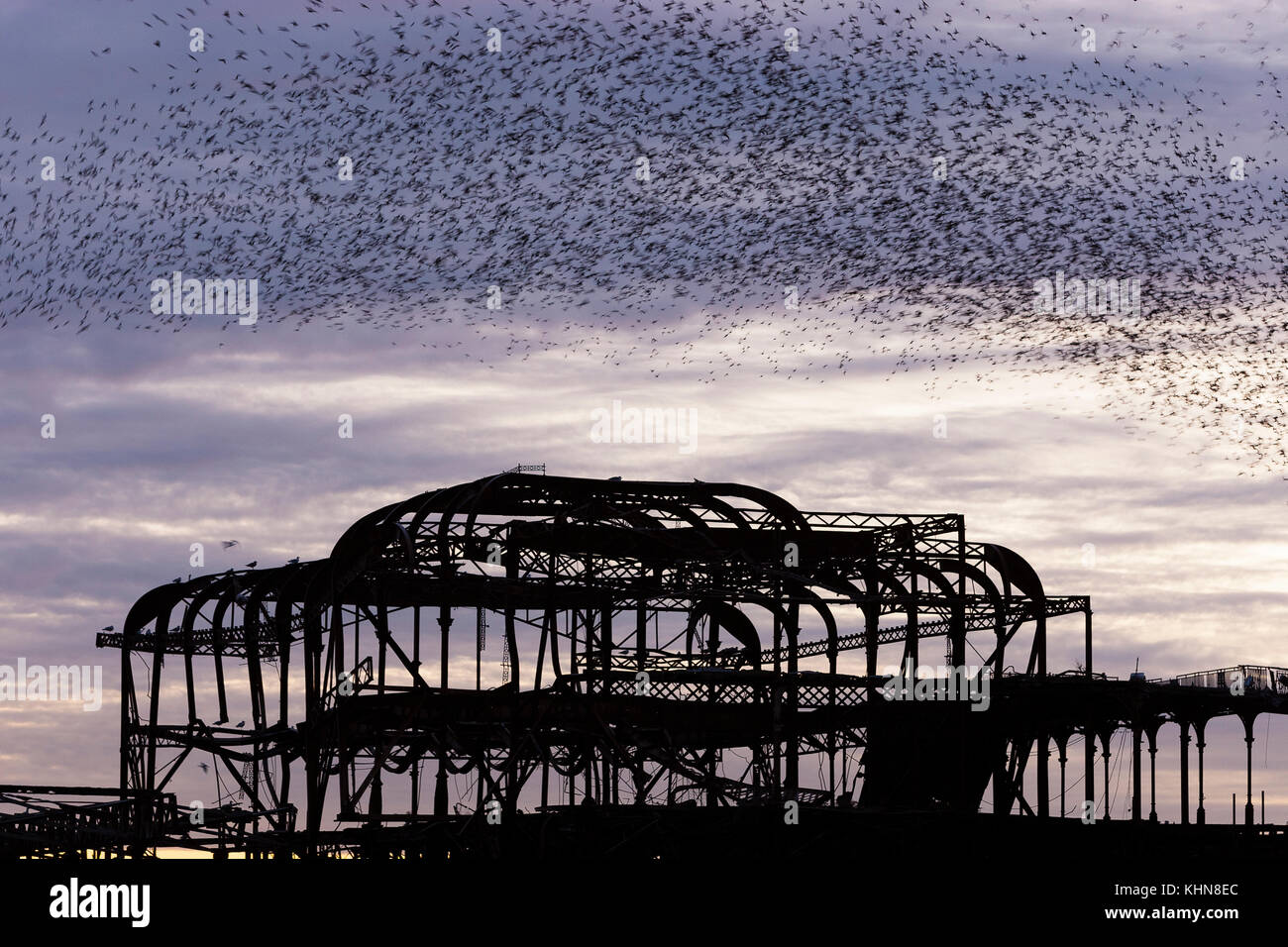 Brighton, Regno Unito. Starling murmurations al tramonto su Brighton West abbandonati Pier contro il cielo viola al tramonto. Foto Stock