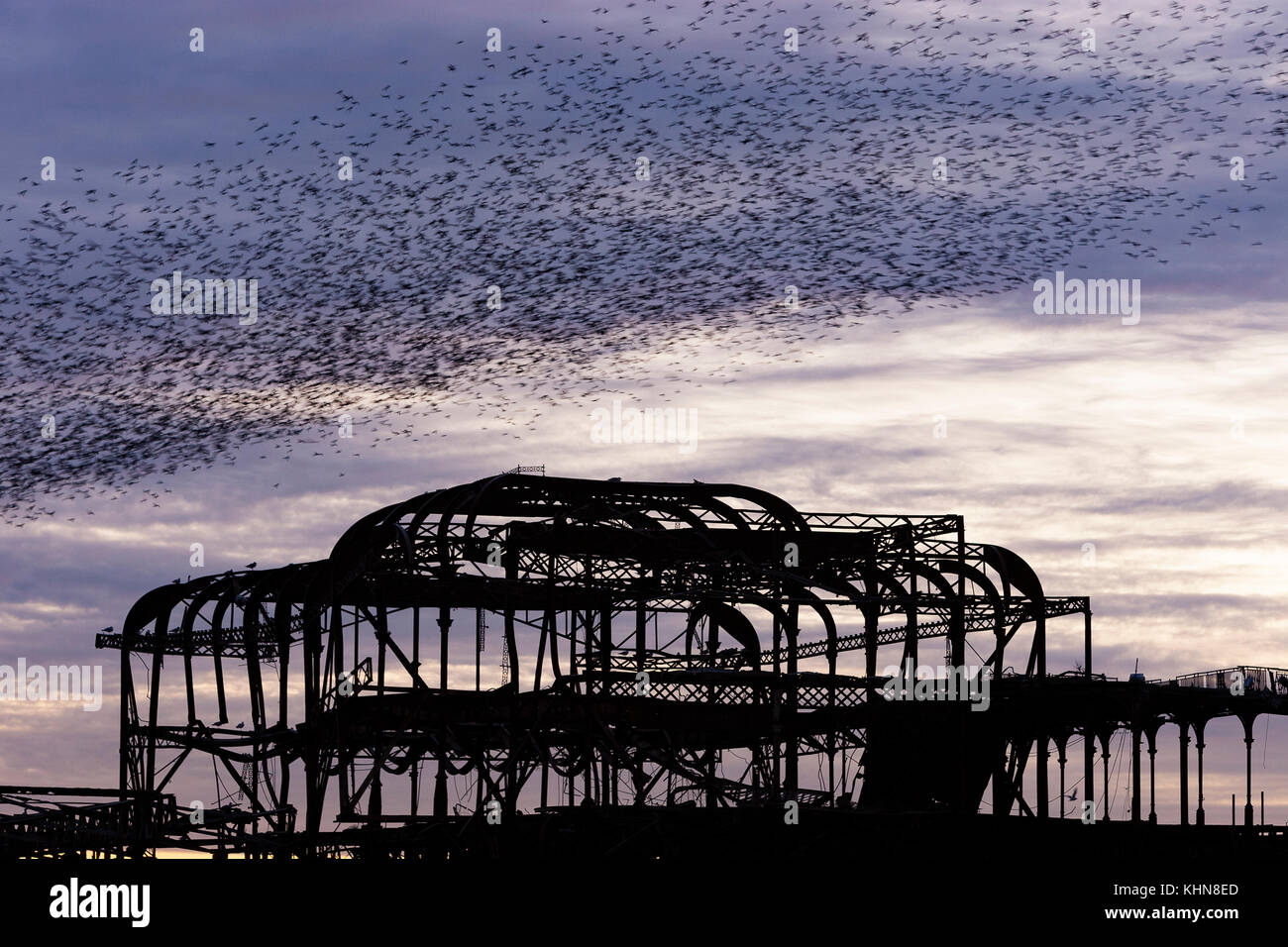 Brighton, Regno Unito. Starling murmurations al tramonto su Brighton West abbandonati Pier contro il cielo viola al tramonto. Foto Stock