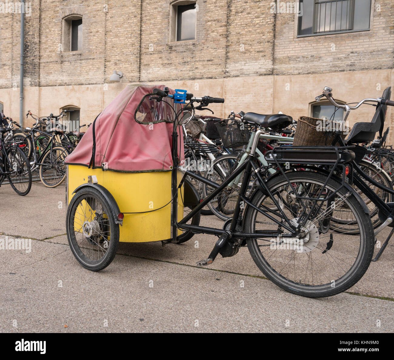 Bambino sul supporto anteriore della bicicletta di Copenhagen Foto Stock