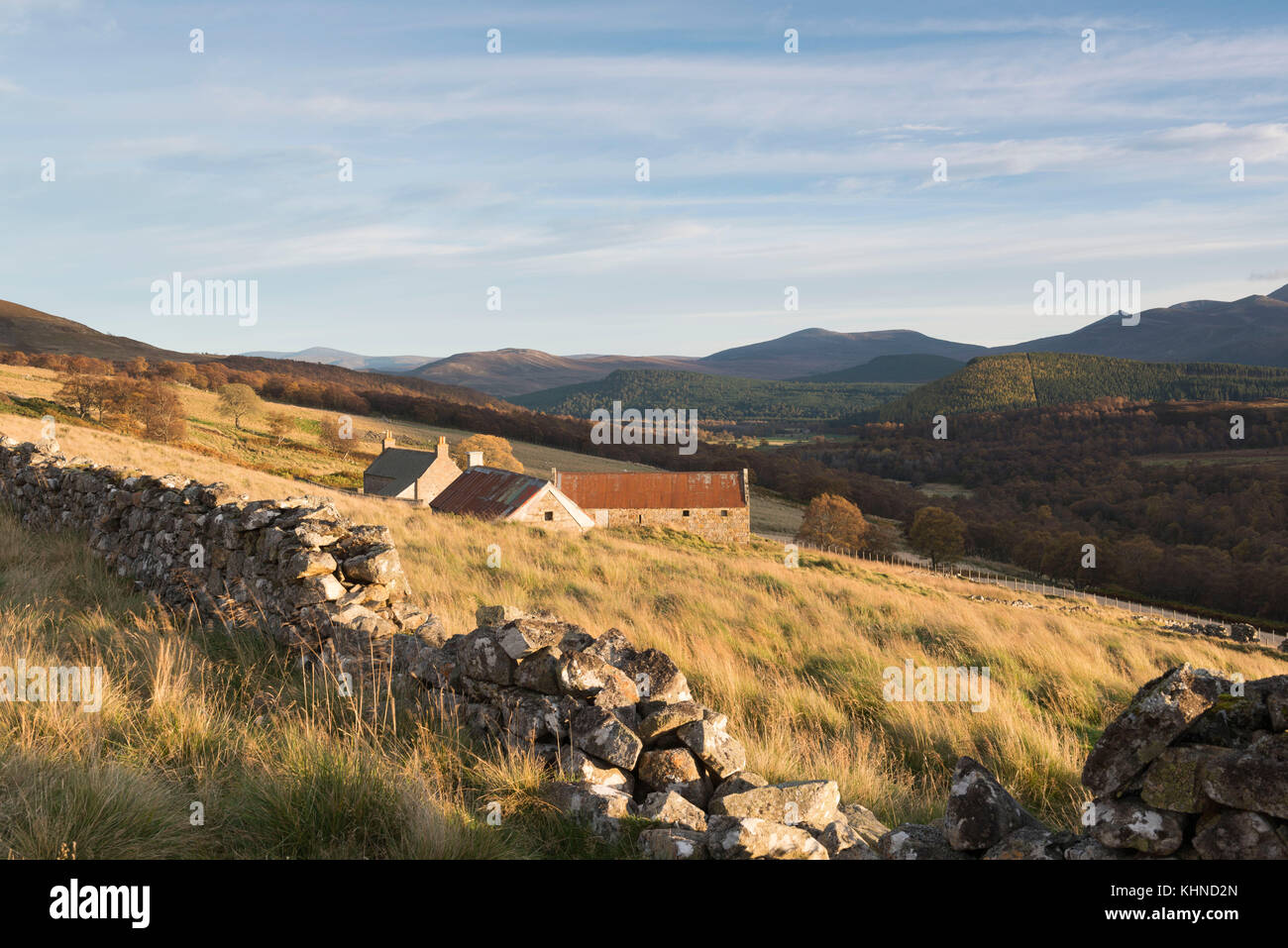 Una vista dal basso Auchtavan Glen Feardar nel Parco Nazionale di Cairngorms Foto Stock