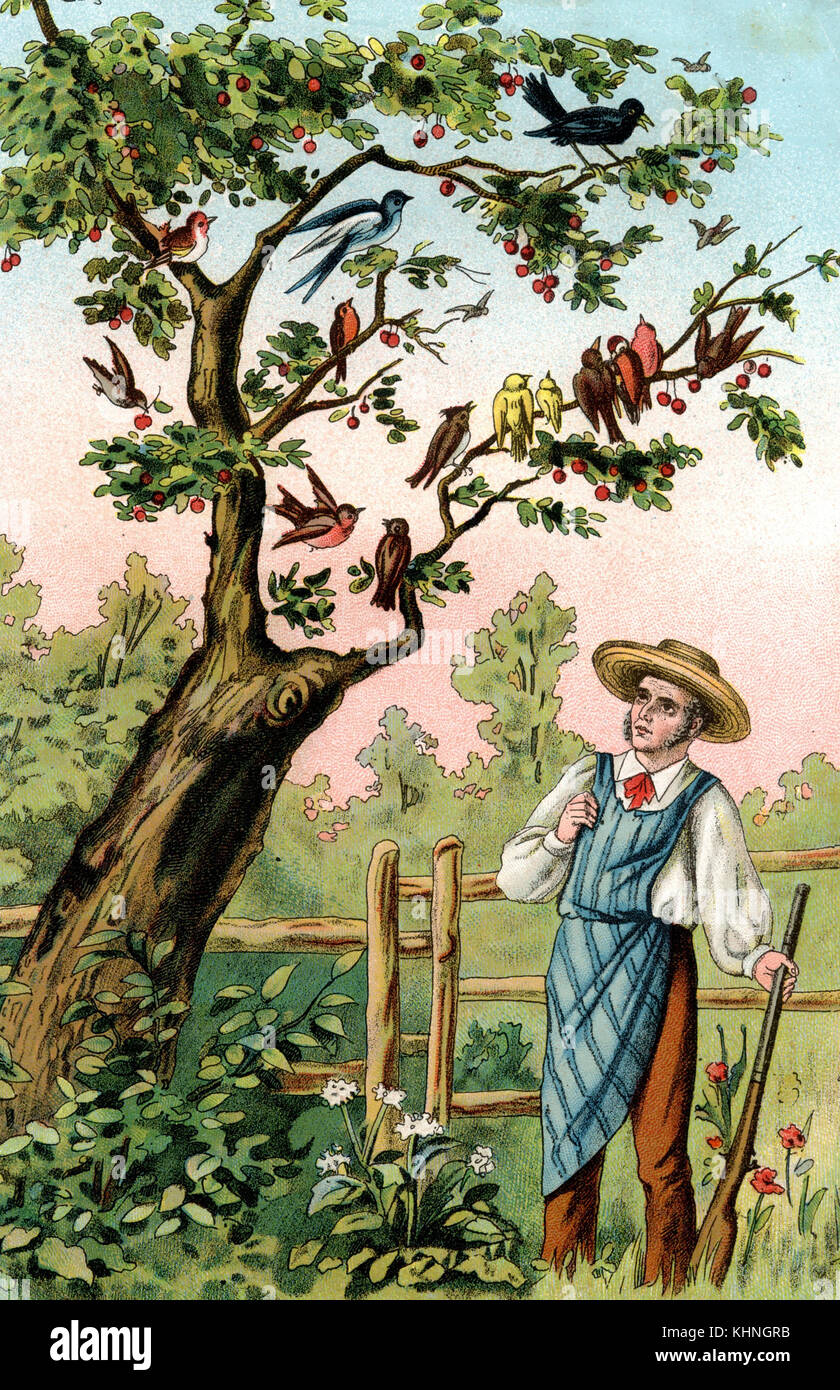Il giardiniere con il fucile osserva gli uccelli su un albero (Gärtner mit Gewehr beobachtet Vögel auf einem Baum) Foto Stock