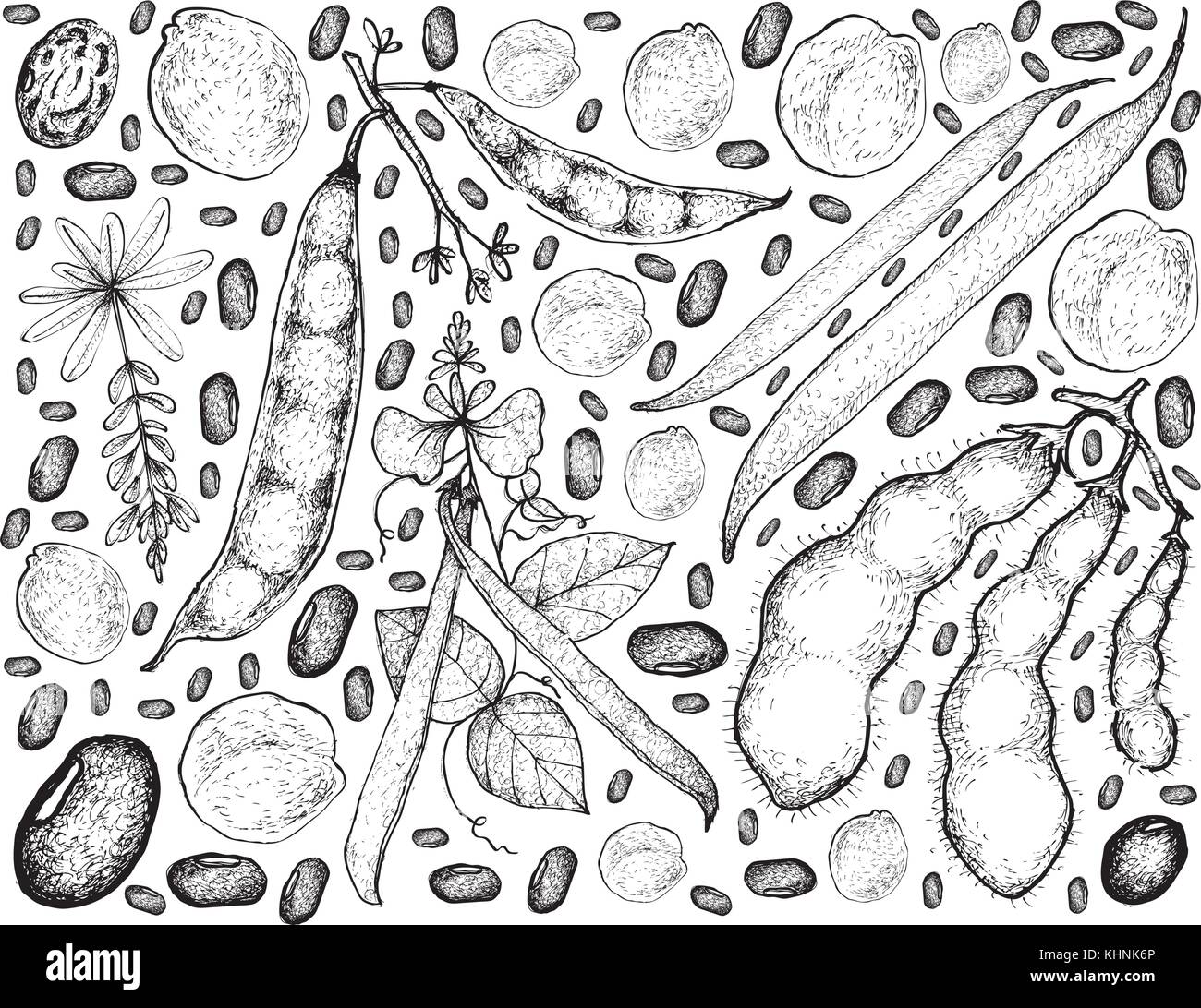 Vegetali, illustrazione la configurazione di sfondo di mano il bozzetto fresche verdure podded isolato su bianco. Illustrazione Vettoriale