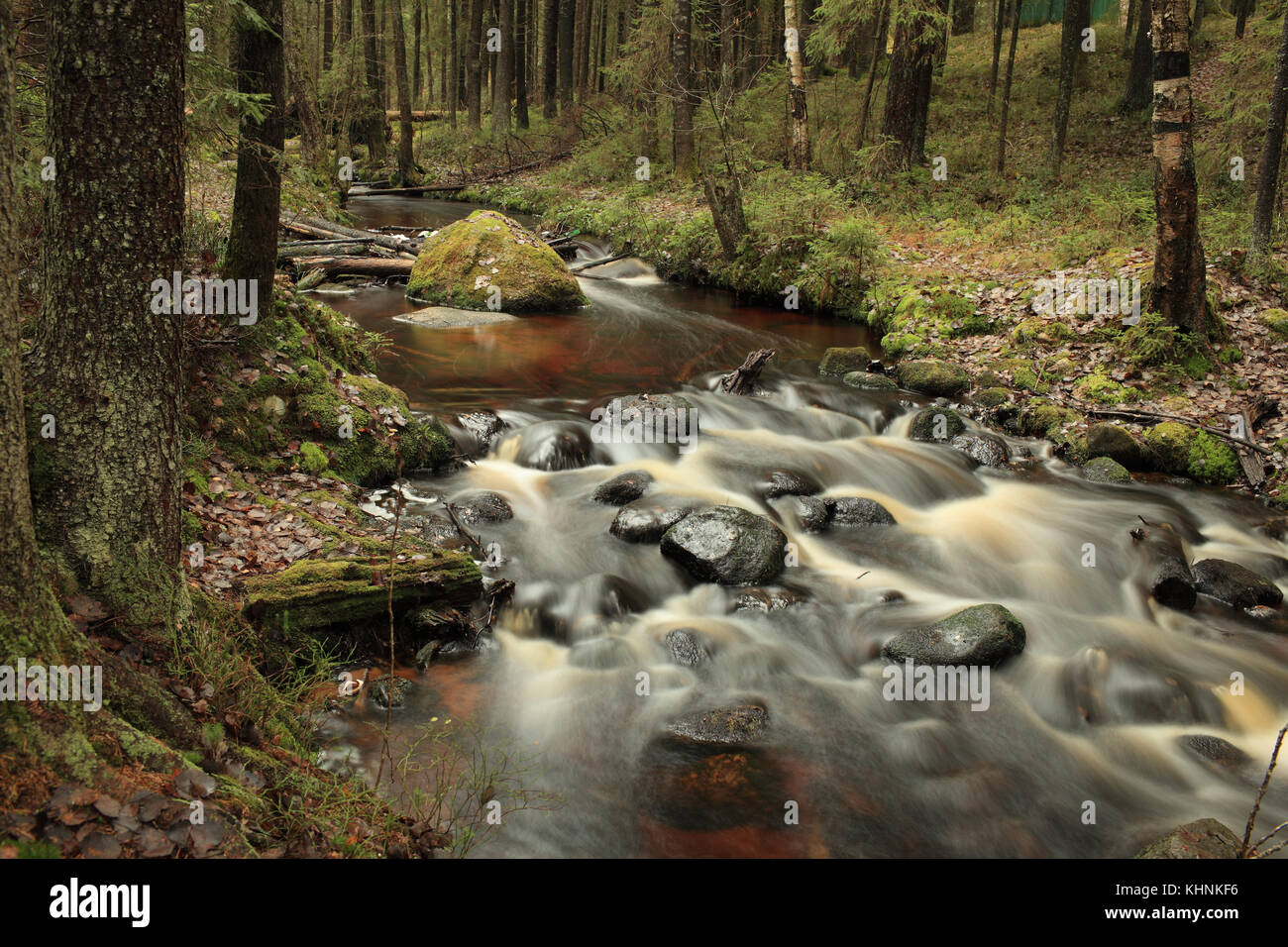 Cascata fast foresta fiume, paesaggio pittoresco, con esposizione lunga Foto Stock