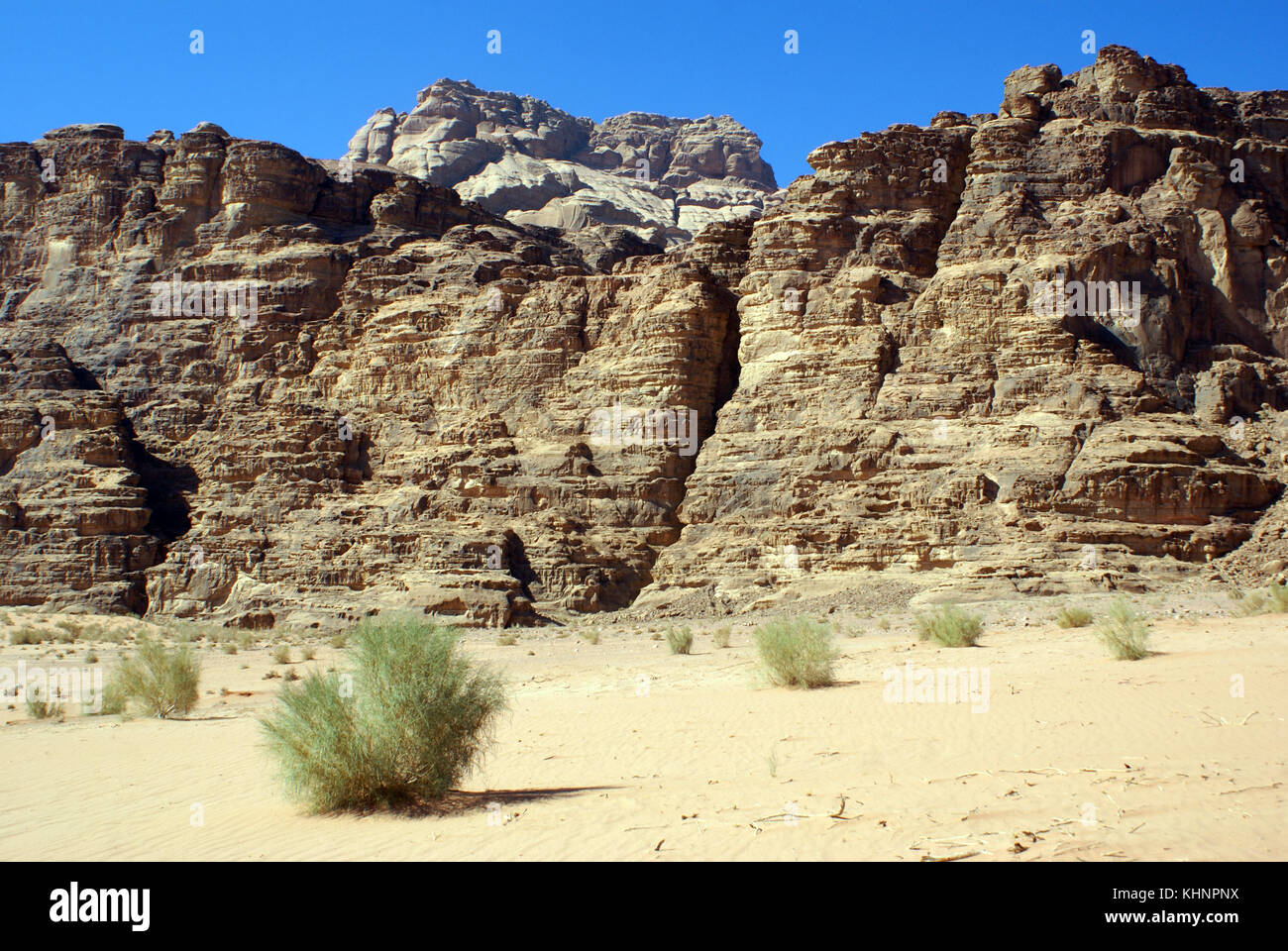 Rocce, e Bush nel Wadi Rum desert, Giordania Foto Stock