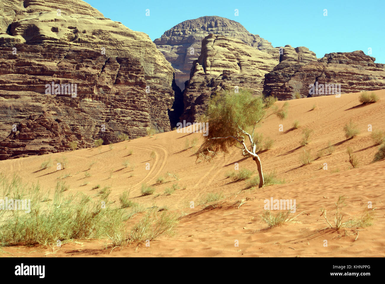 Montare, Bush e la sabbia nel deserto wadi rum, Giordania Foto Stock
