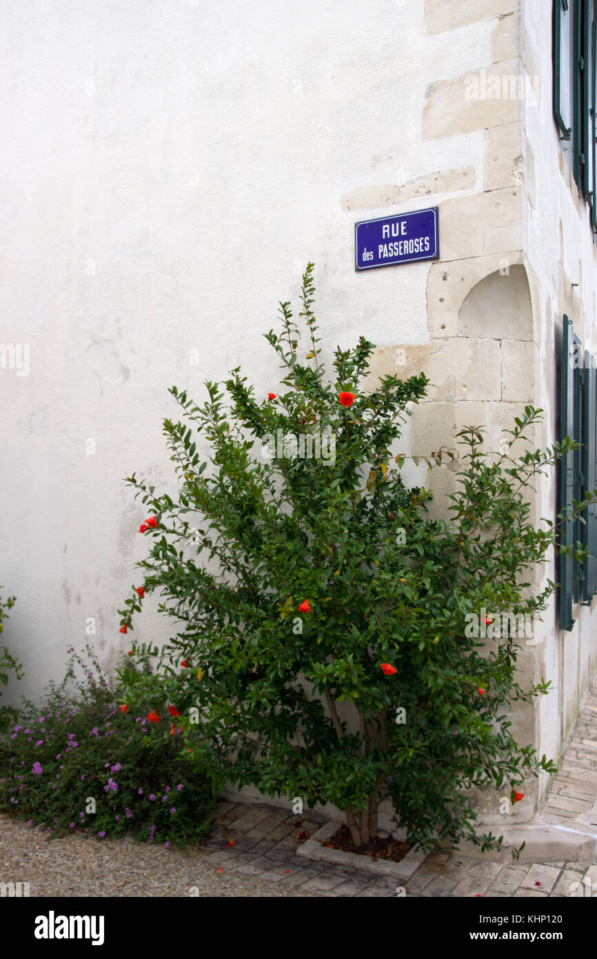 La-Courade-sur-Re Foto Stock