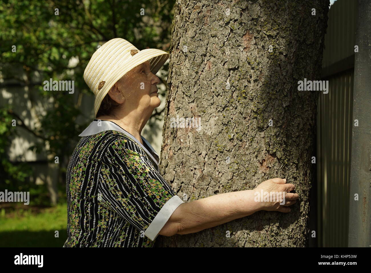 Anziani abbracciando tronco di albero le sue mani nella foresta Foto Stock