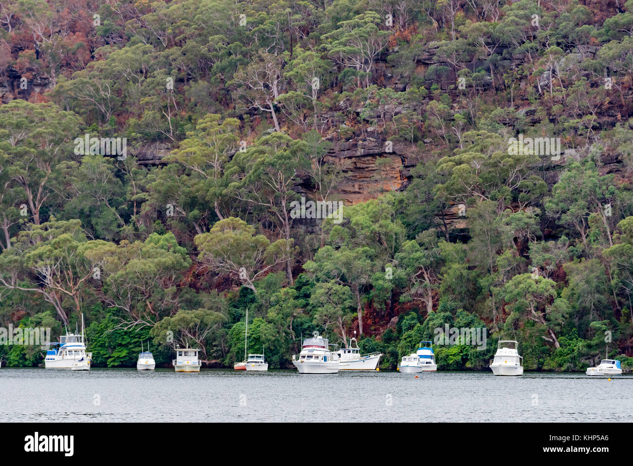 Barche ormeggiate in una tranquilla zona fluviale a nord di Sydney con un fondale di una scogliera di arenaria e gomma di alberi. Foto Stock