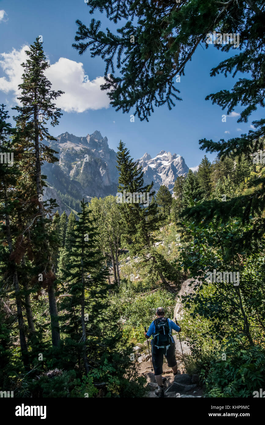 La foresta e la Grand Teton Mountains sull'escursione da Lake Jenny per Inspiration Point Foto Stock