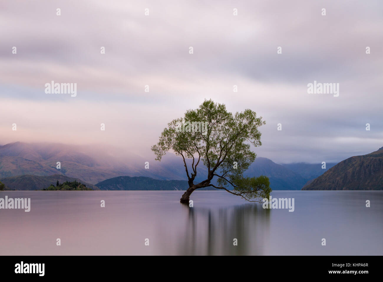 Lunga esposizione della lone willow tree in un lago Wanaka, Isola del Sud, Nuova Zelanda Foto Stock