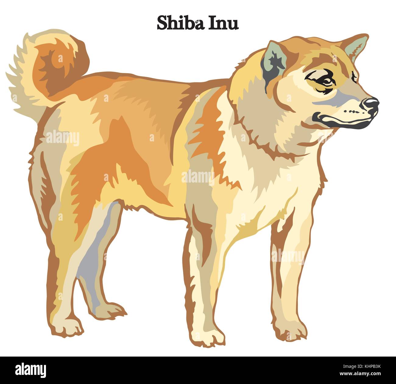 Ritratto di standing in profilo cane Shiba Inu vettore illustrazione colorata isolati su sfondo bianco Illustrazione Vettoriale