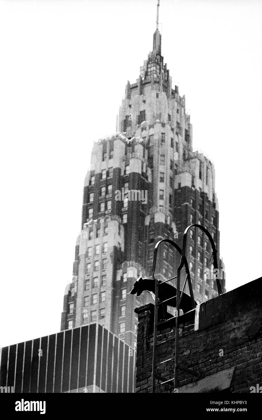 AJAXNETPHOTO. Luglio, 1975. La città di NEW YORK, Stati Uniti d'America. - TOP DOG - guarda giù sulla parte inferiore di Manhattan vicino a South Street. La AMERICAN INTERNATIONAL BUILDING, ora 70 PINE STREET, costruito nei primi anni trenta, sovrasta la scena. Foto:JONATHAN EASTLAND/AJAX REF:7507 30 Foto Stock