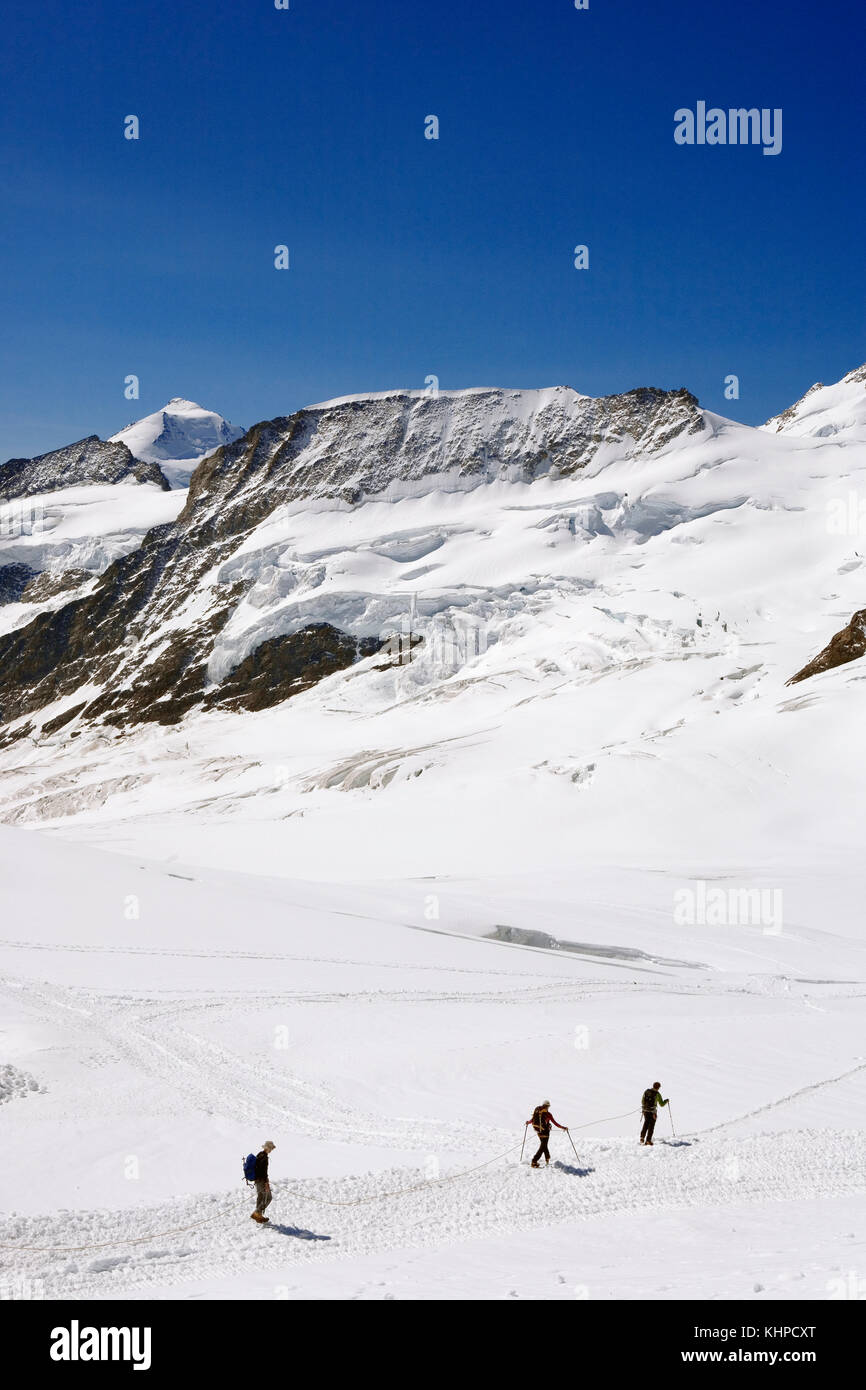 Scalatori sul ghiacciaio Jungfraufirn con oltre, Kranzberg, Äbeni e in lontananza Aletschhorn, Oberland Bernese, Svizzera Foto Stock