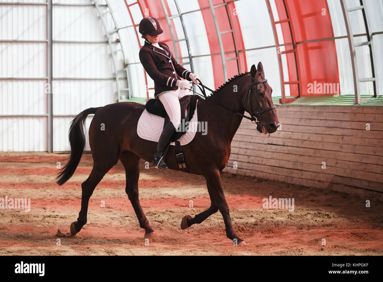 Una ragazza dolce jockey cavalca un cavallo in un arena coperta. formazione spagnola di lynx. un pedigree cavallo per lo sport equestre. Foto Stock