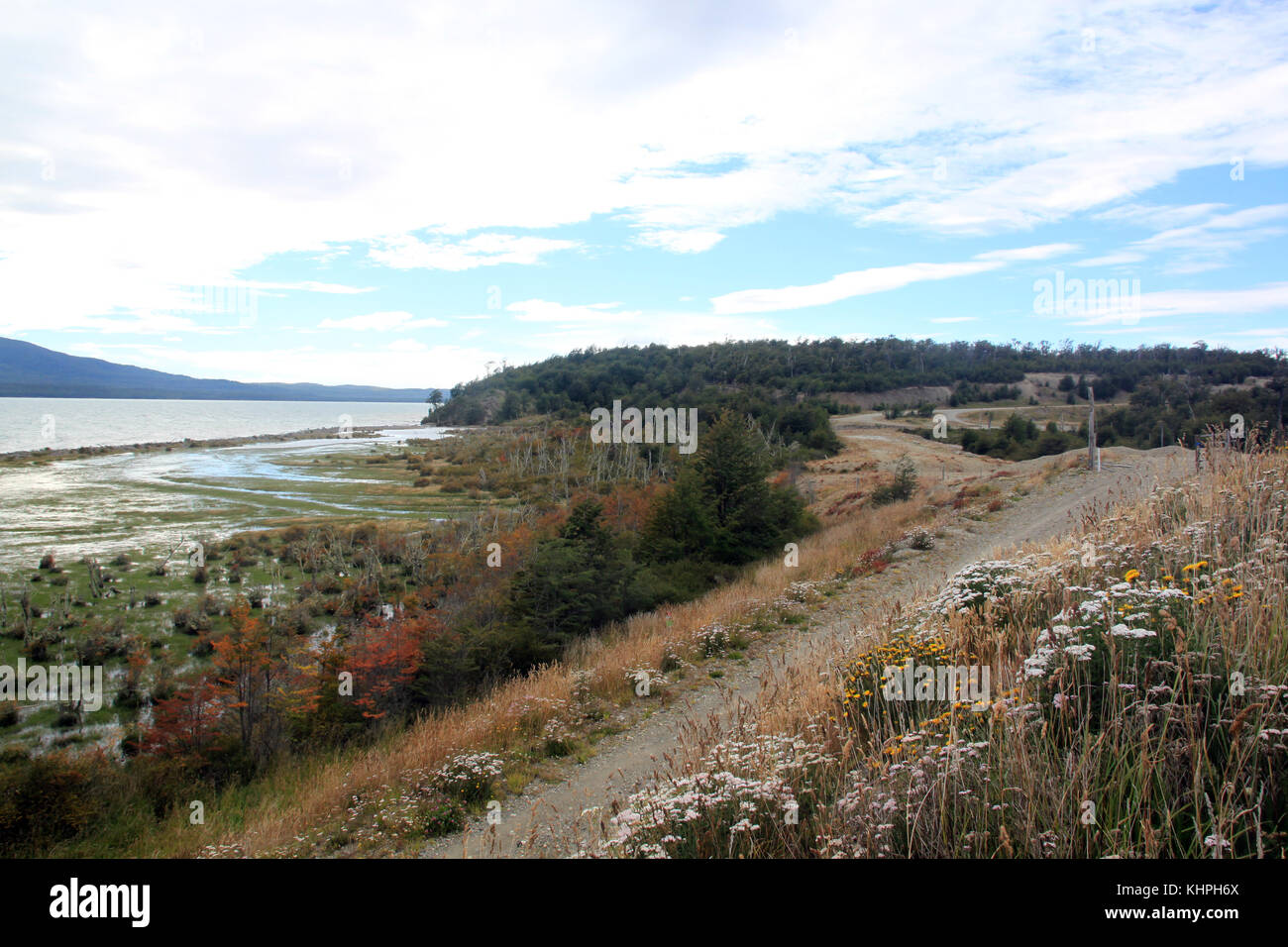 Su strada e prato vicino al fiume Rio turbio, argentina Foto Stock