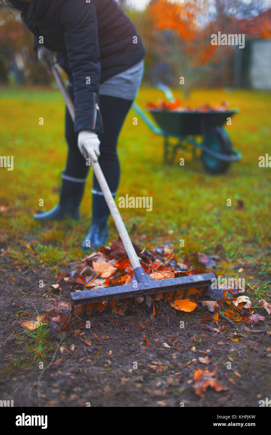 Giardiniere donna a rastrellare foglie in autunno freddo giorno di lavori all'aperto Foto Stock