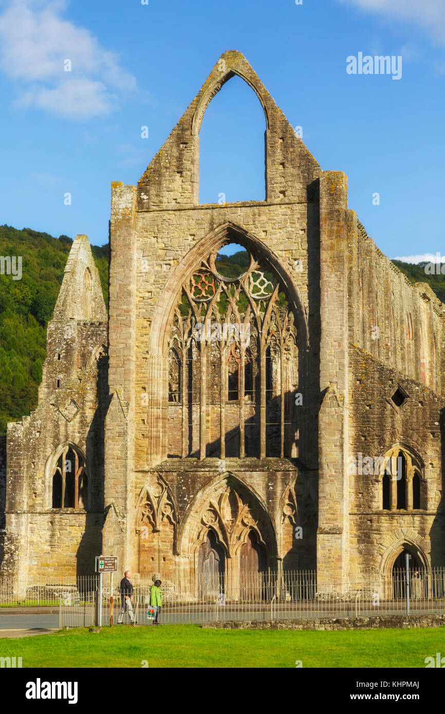 Tintern Abbey, Monmouthshire, Wales, Regno Unito. L'abbazia fu fondata nel 1131. Foto Stock