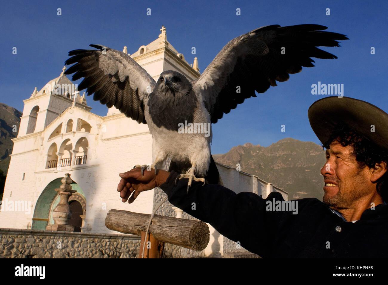 Cruz del Condor, punto di osservazione al Canyon del Colca, Perù. Erasmo espone con entusiasmo il suo aquile per i turisti nella città di Maca nella Valle del Colca. Foto Stock