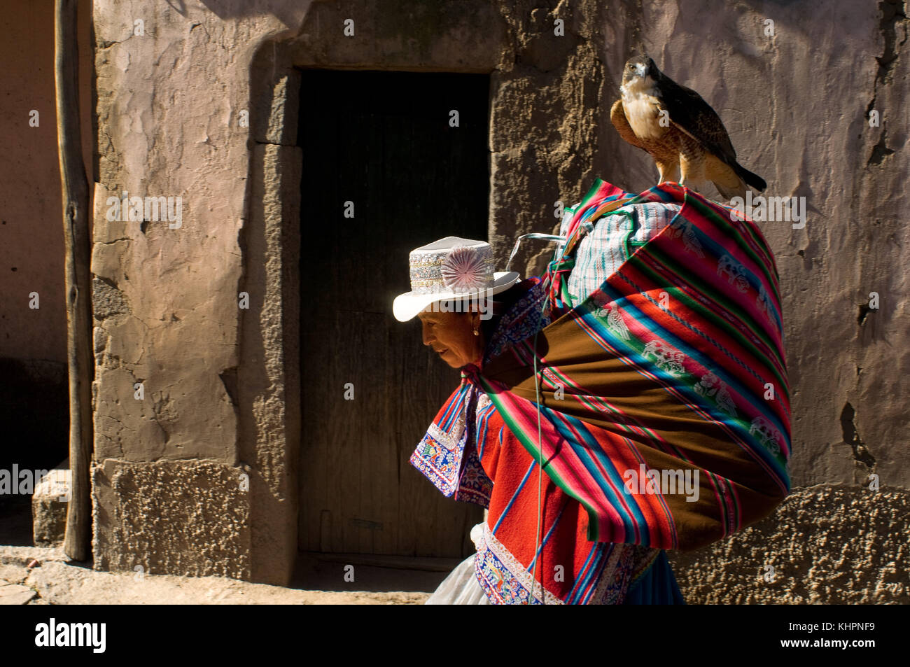 Yanke, una delle cittadine della Valle del Colca dove i venditori animano la vendita fotografandosi con le loro aquilette, gufi e lama. Foto Stock