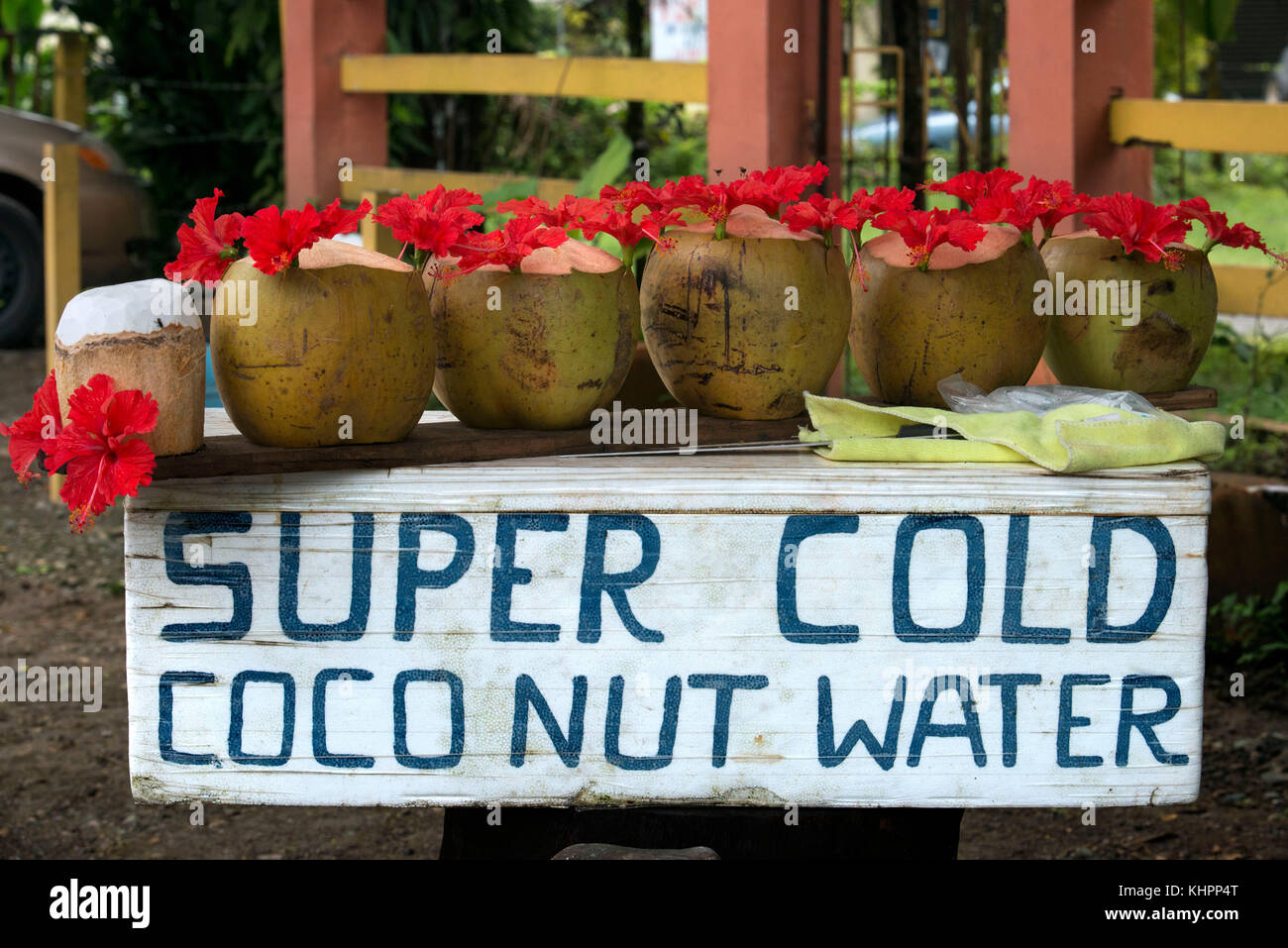 Le vendite di freddo acqua di cocco o latte in Manuel Antonio, Costa Rica, l'America centrale. Foto Stock