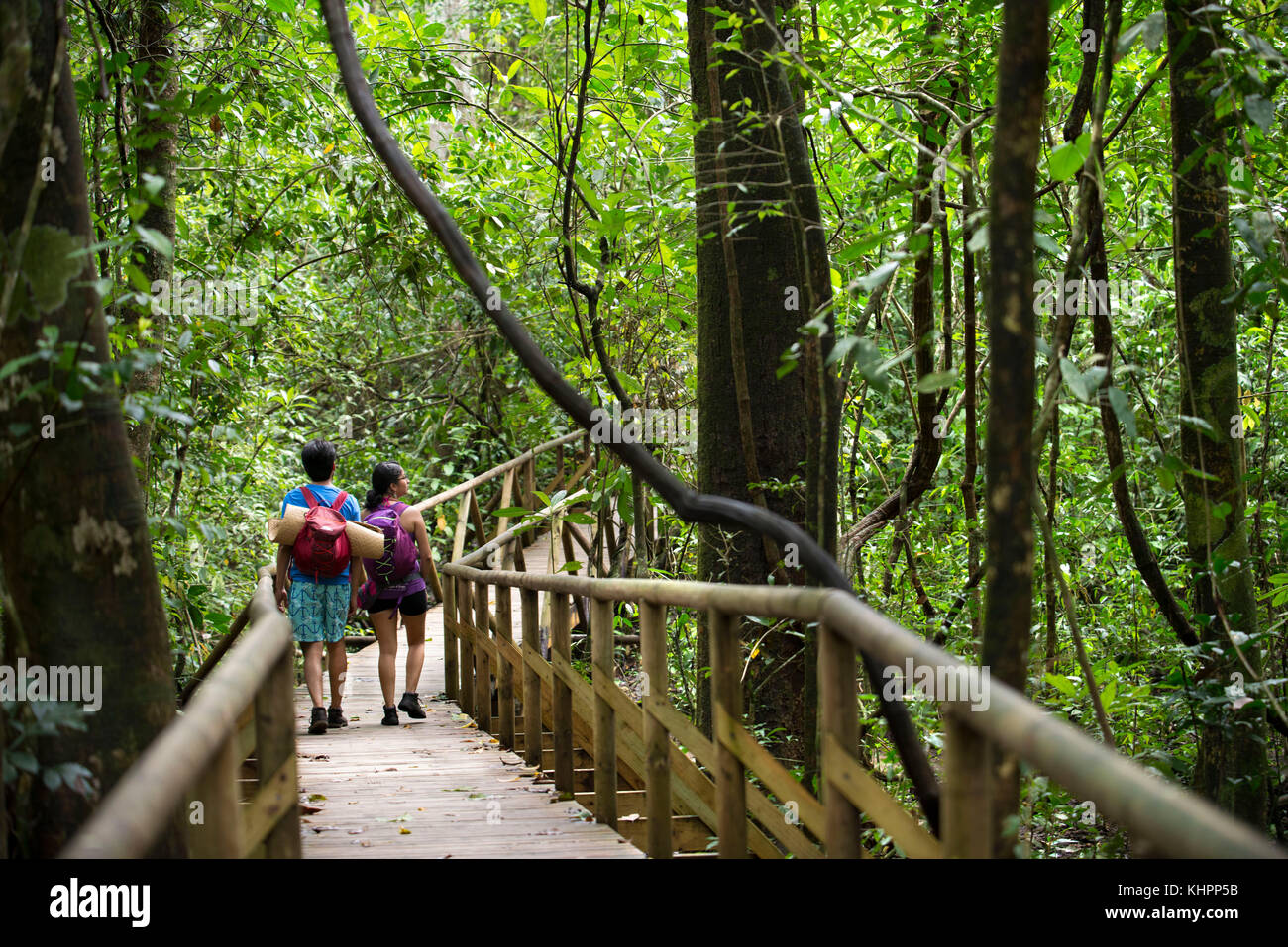 I gruppi turistici nel Parco Nazionale di Manuel Antonio, Costa Rica, l'America centrale. Turisti si riuniscono intorno a una guida per ottenere uno sguardo alla fauna selvatica a Manue Foto Stock