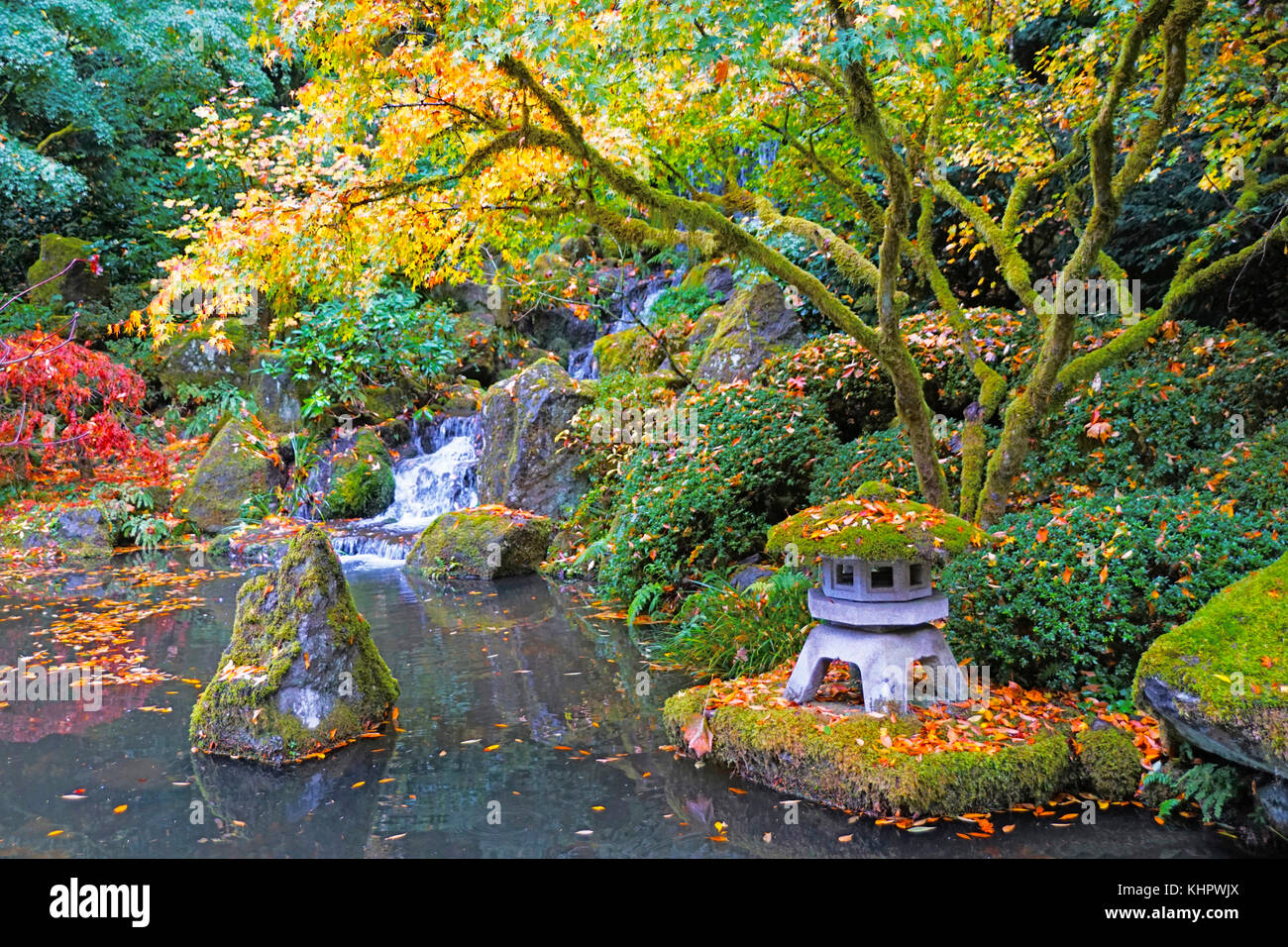 Autunno in portland giardini giapponesi. Foto Stock