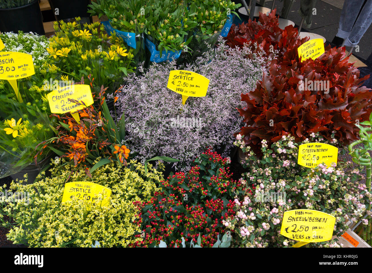 Il mercato dei fiori di Amsterdam Foto Stock