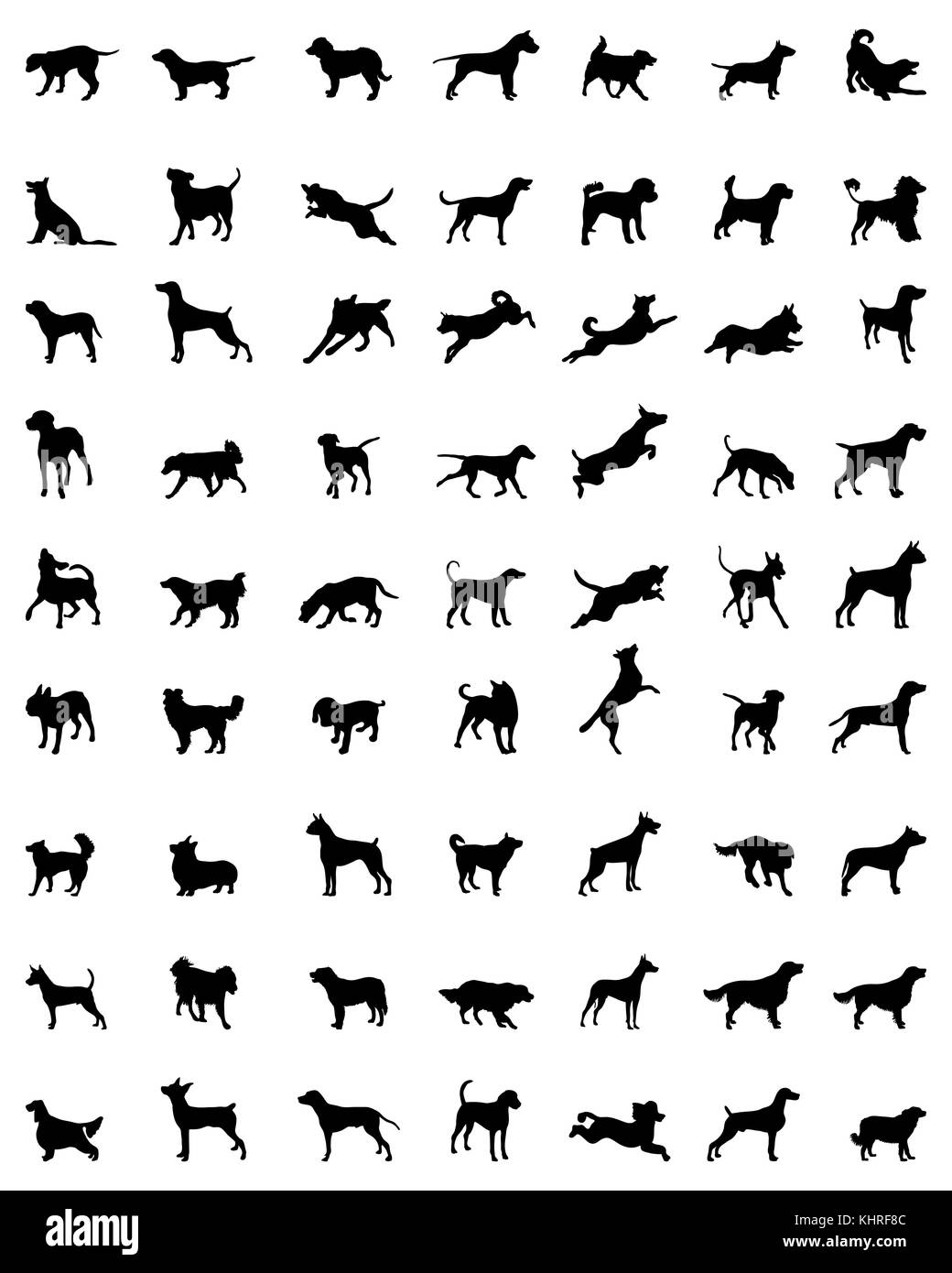 Silhouette nera di diverse razze di cani, vettore Foto Stock
