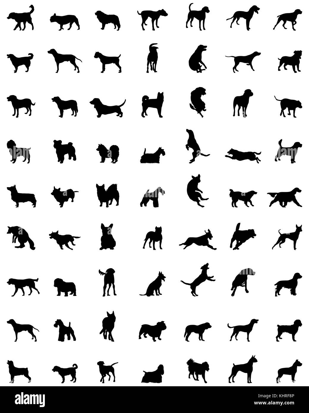 Silhouette nera di diverse razze di cani, vettore Foto Stock
