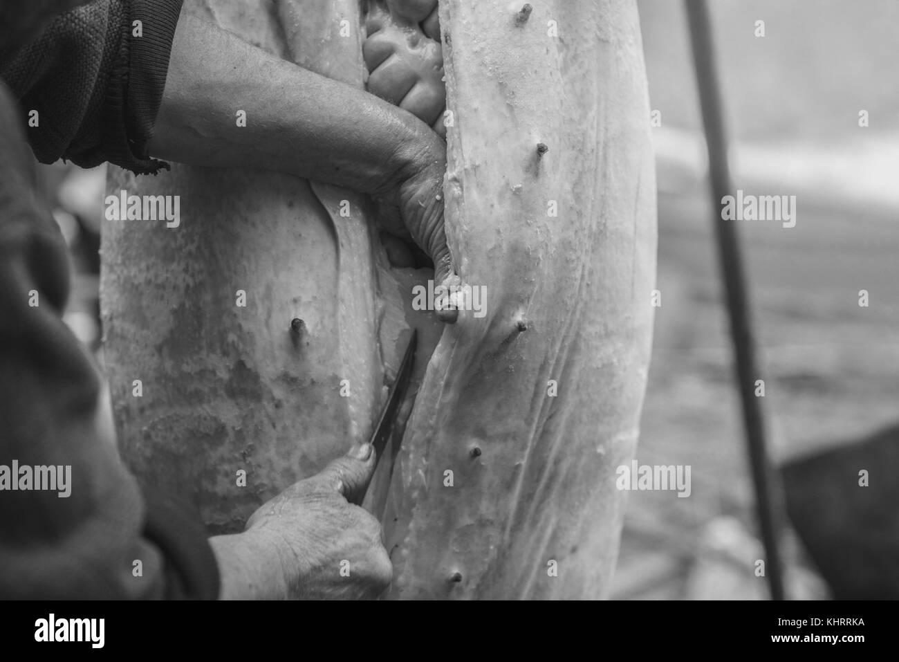 Macellaio taglia la carcassa di suino da coltello, effetto retrò, Ucraina occidentale Foto Stock