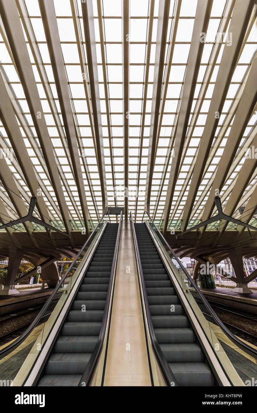 Liegi, Belgio - Novembre 2017: verticali scale mobili a Liege Guillemins-stazione ferroviaria progettato dal famoso architetto Santiago Calatrava Foto Stock