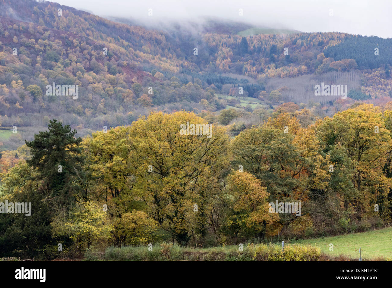 In autunno la Dee Valley vicino a Llangollen, Galles del Nord, Regno Unito Foto Stock