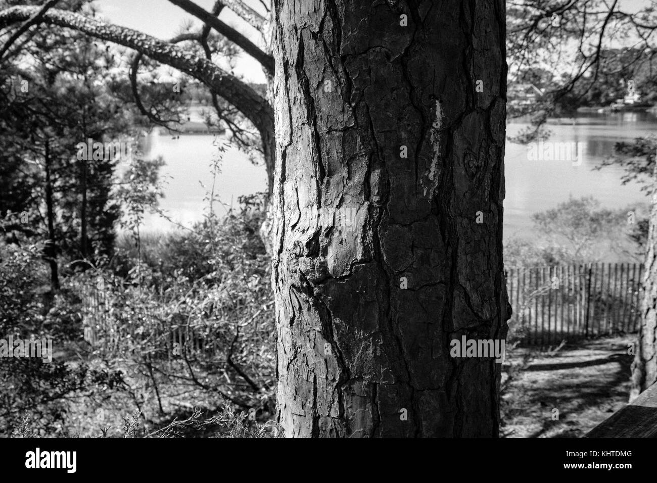 Vecchio e usato pneumatici Foto Stock