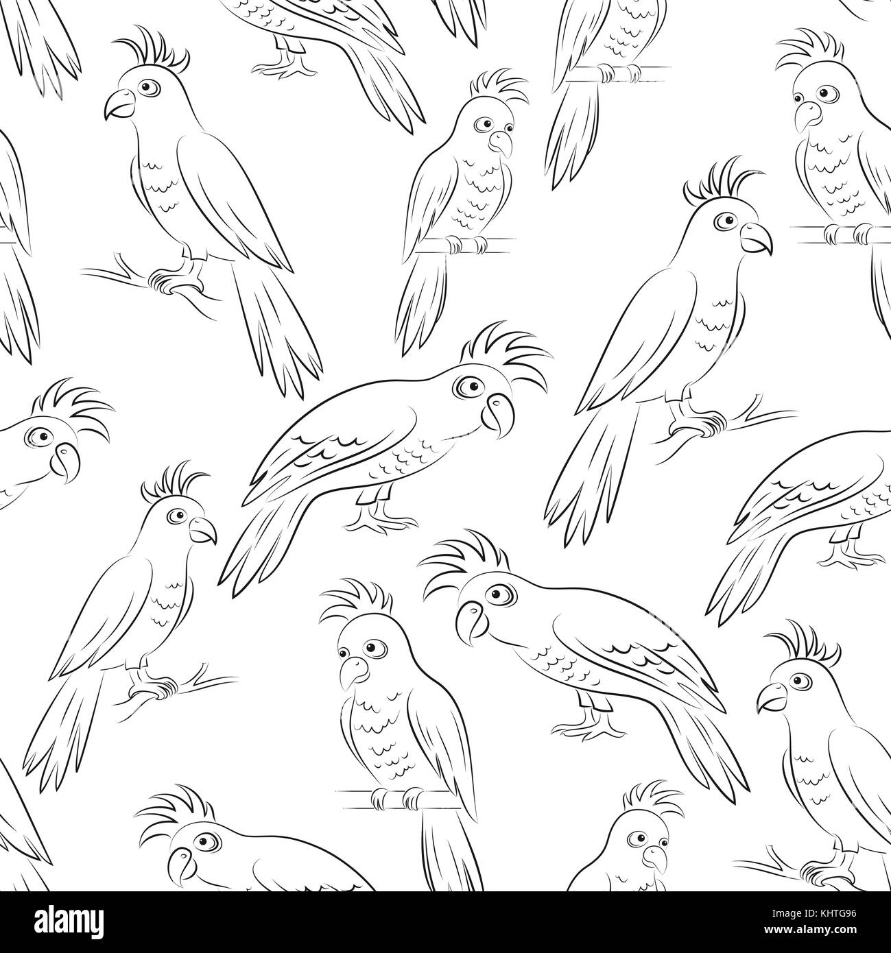 Pappagalli contorni, senza saldatura Illustrazione Vettoriale