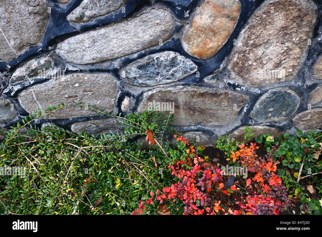 La pietra e le piante sullo sfondo Foto Stock