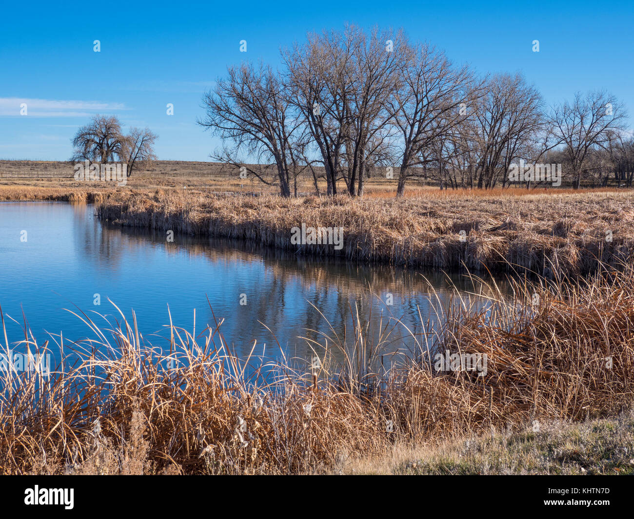 Lago Ladora, autunno, Rocky Mountain Arsenal National Wildlife Refuge, Commerce City, Colorado. Foto Stock