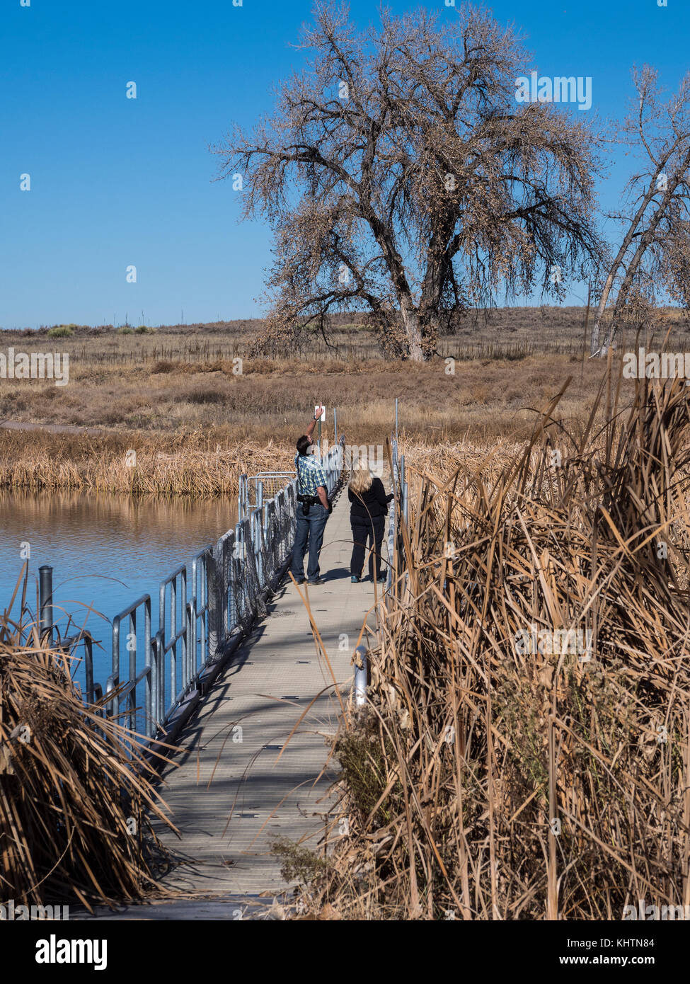 Visitatori attraversare un ponte sul lago Ladora Loop Trail, autunno, Rocky Mountain Arsenal National Wildlife Refuge, Commerce City, Colorado. Foto Stock