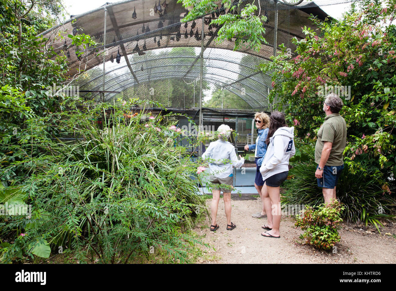 Ospedale di Tolga Bat. Gruppo di tour educativo. Carrington. Atherton Tablelands. Queensland. Australia. Foto Stock