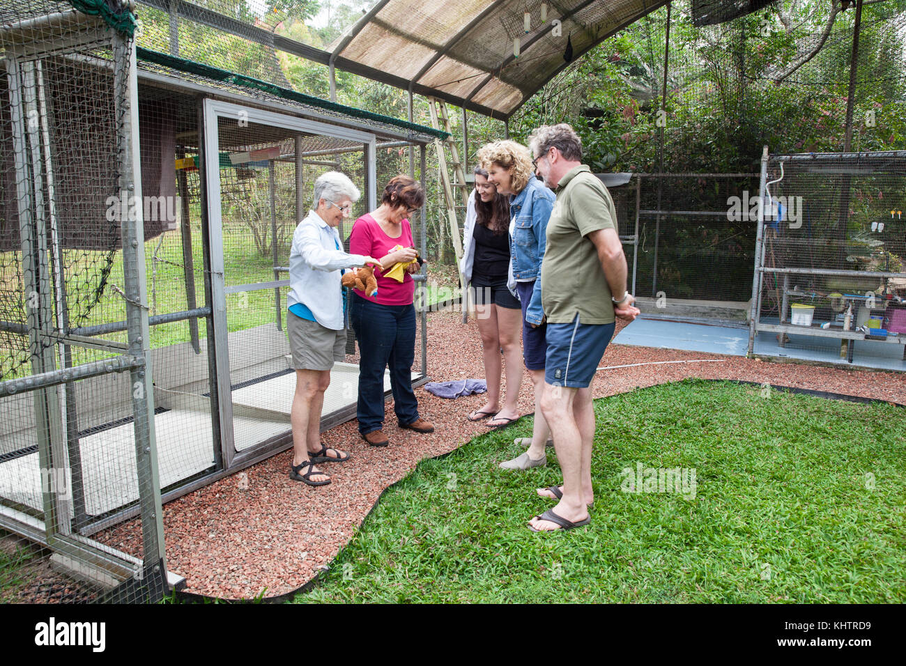 Ospedale di Tolga Bat. Gruppo di tour educativo. Carrington. Atherton Tablelands. Queensland. Australia. Foto Stock