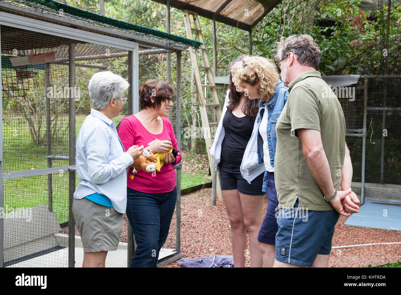 Ospedale di Tolga Bat. Gruppo di tour educativo. Carrington. Atherton Tablelands. Queensland. Australia. Foto Stock