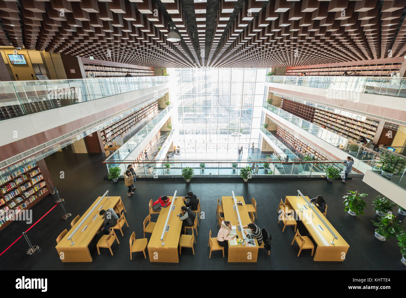 Il popolo cinese studiare in Chengdu biblioteca pubblica Foto Stock